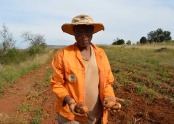 Managing Director of Lima Rural Development Foundation, Duncan Stewart says, they want to help transform the agricultural sector and raise the level of black economic empowerment.