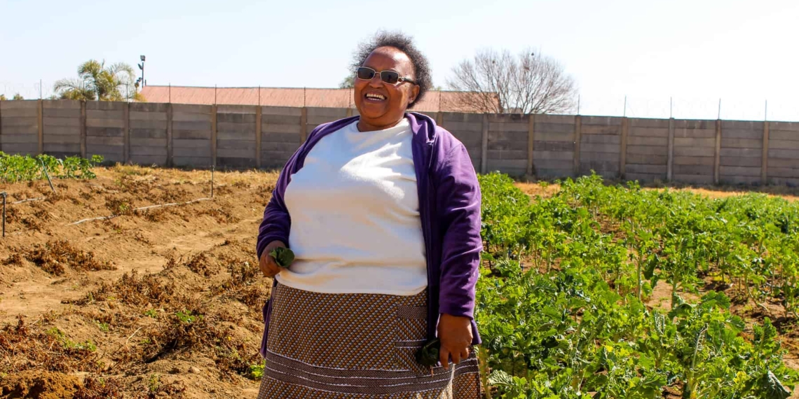 Nomxolisi Mathe holds a Masters’ degree in education and was an English teacher for two decades before she started farming with eight other women in Benoni, about 40km east of Johannesburg.