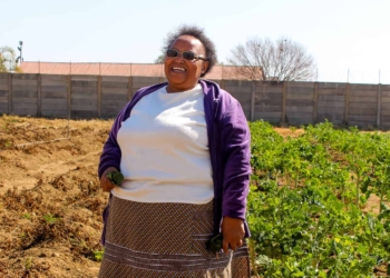 Nomxolisi Mathe holds a Masters’ degree in education and was an English teacher for two decades before she started farming with eight other women in Benoni, about 40km east of Johannesburg.