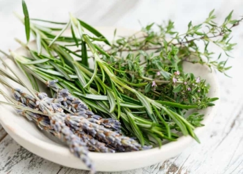 Herbs are jam-packed full of nutrients and come with a host of health benefits. When you start using herbs associate with something that interests you.
