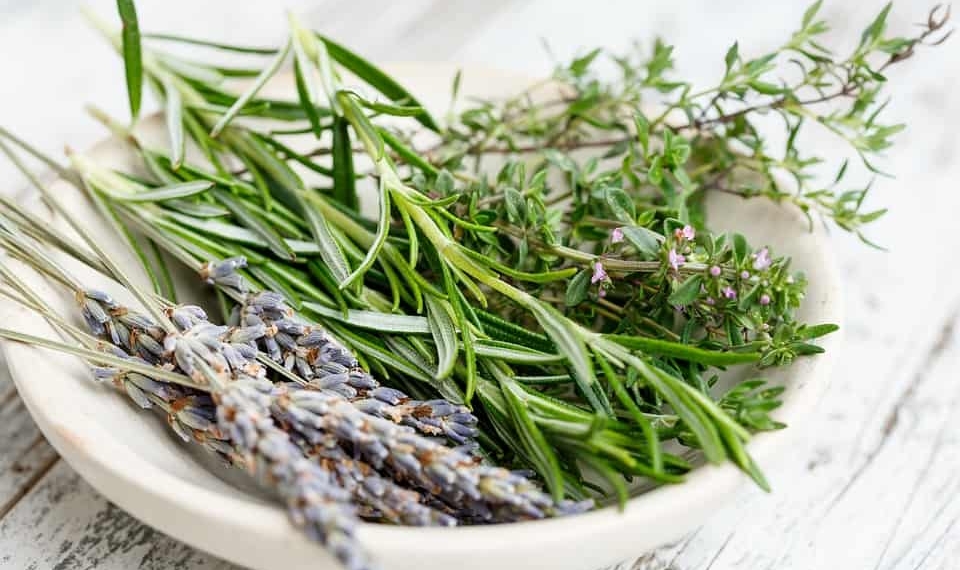 Herbs are jam-packed full of nutrients and come with a host of health benefits. When you start using herbs associate with something that interests you.