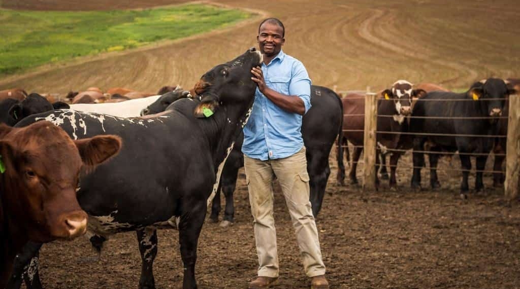 Ndumiso Gule is the assistant farm manager and beef section manager of Baynesfield Estate in KwaZulu Natal.