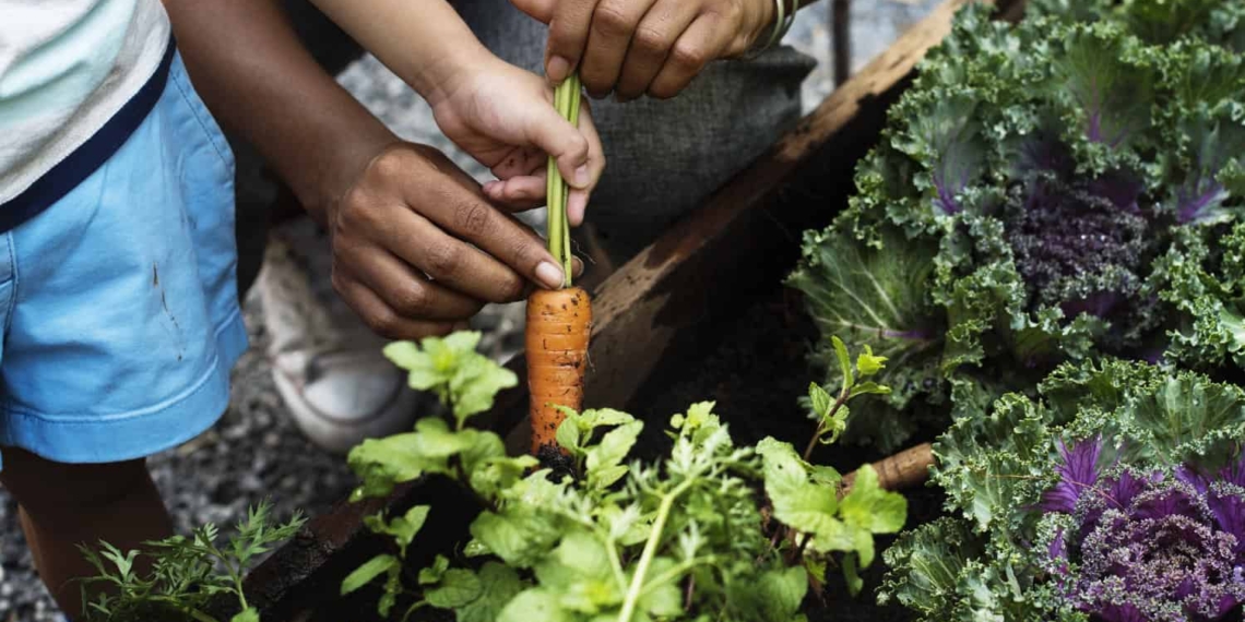"Office" and "agriculture" are two words that are hard to imagine together but they describe a new trend designed to improve employee wellness.