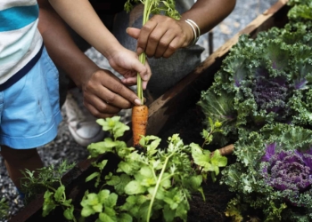 Here’s why growing food at the workplace is a big deal
