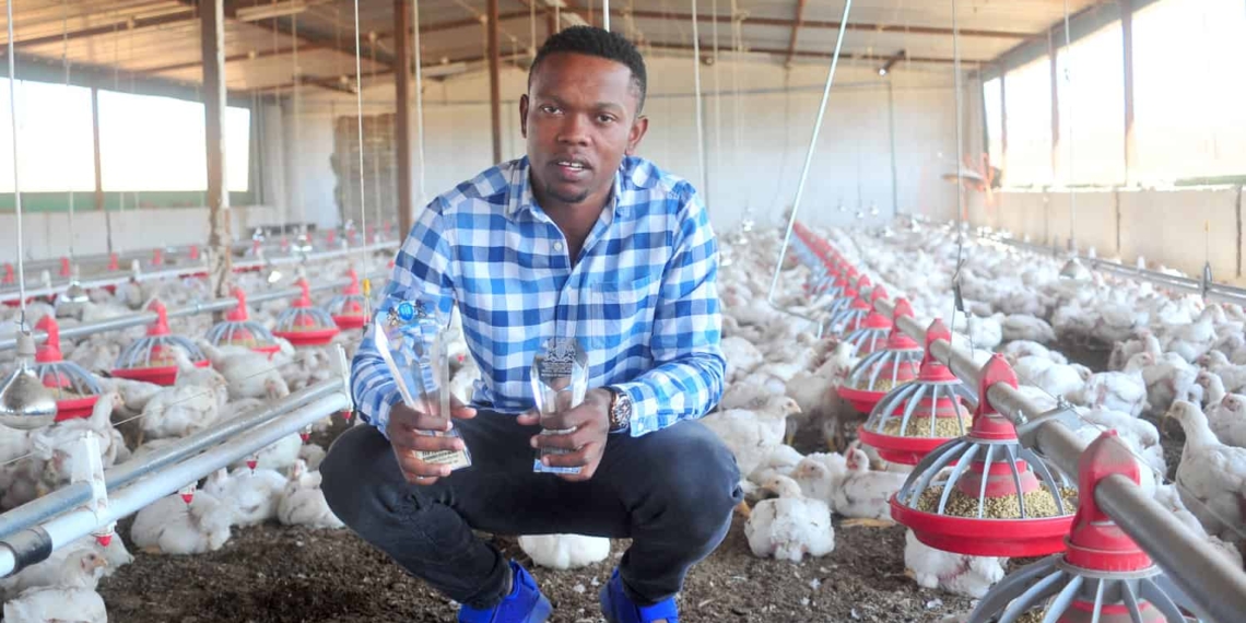 Thabo Ramaphala (33) returned from London where he worked as an auditor to start his own chicken business in Mzansi.