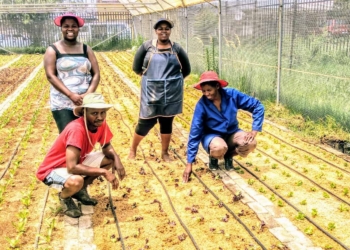 young farmers