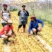 young farmers