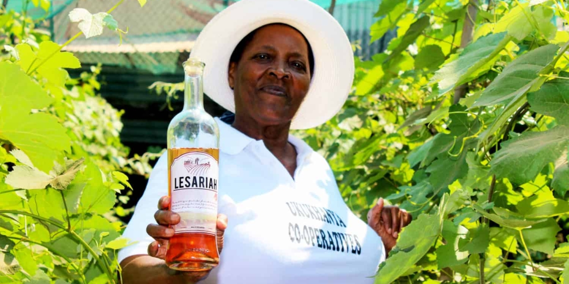 Ria Letoba (71) and a group of five women are producing quality sweet rosé in her township backyard in Sebokeng, southern Gauteng. Photo: Funiwe Ngwenya