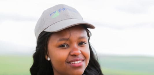 FarmsSol beneficiary: 24-year-old Njabulo Mbokane farms with yellow maize and non-GMO crops in Mpumalanga and has also expanded into livestock.
