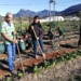 Johan Hus Primary school caretaker Georgie Botha (left) and principal Desiree Mey (right), with the school learners tending to the garden.