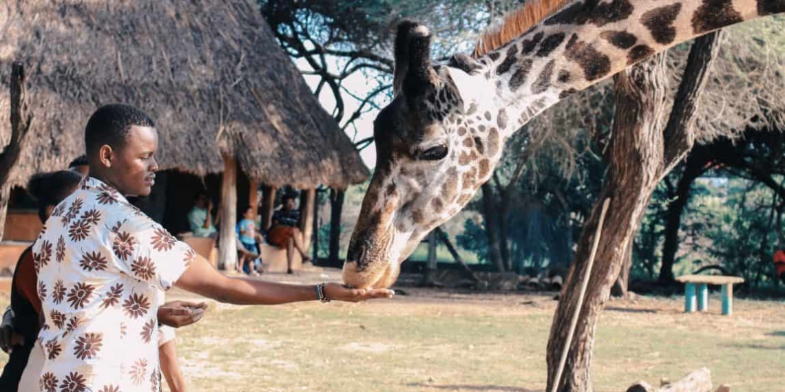 Successful implementation of land reform has the potential to accelerate the growth of the tourism sector, says Chief Executive of Vumelana Advisory Fund.