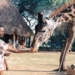 Successful implementation of land reform has the potential to accelerate the growth of the tourism sector, says Chief Executive of Vumelana Advisory Fund.