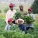 Ntirhisano Farmer' Cooperative grows African indigenous vegetables In Lenasia, south of Soweto in Gauteng. Front- Esther Mopeli; Justin Morrison; Back- Emmanuel Moyo; Peter Moyo; Sibongile Khabo