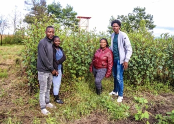 The Wana Johnson Development Project in Taweni, Eastern Cape is schooling women and youth in food and nutrition security while raising awareness on climate change.