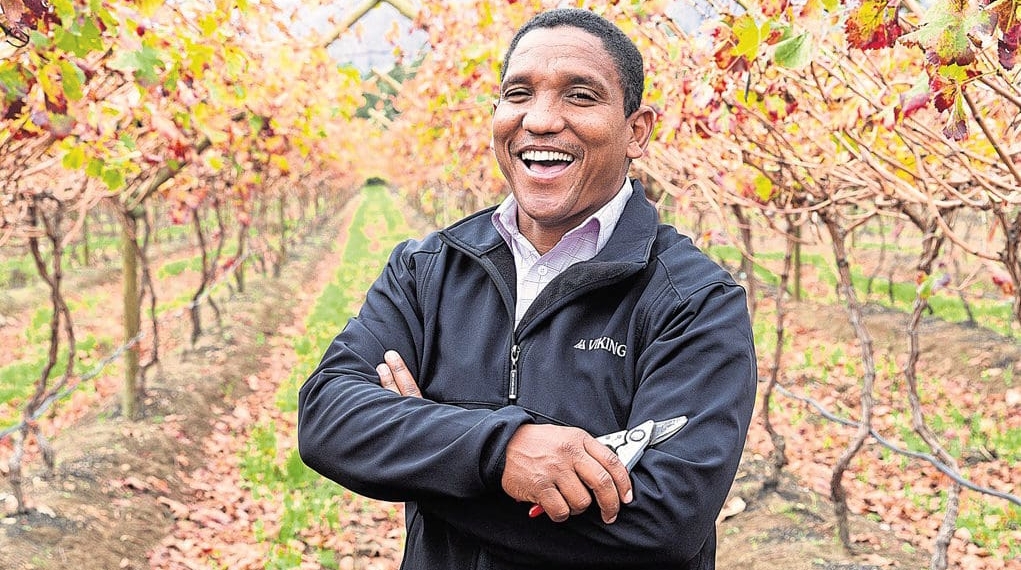 Warren Bam is a well-known table grape farmer in Saron in the Western Cape. His career as a farmer was sparked after having a conversation with his 9-year-old son and a prophecy that went out in church. Photo: Supplied/Food For Mzansi