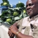 Award wining farmer Petros Sithole has lost his farm in an alleged land reform blunder.