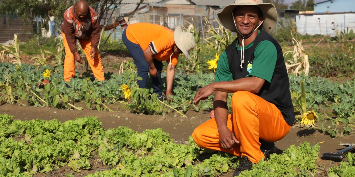 Concern as Stats SA reveals a drop in agricultural households