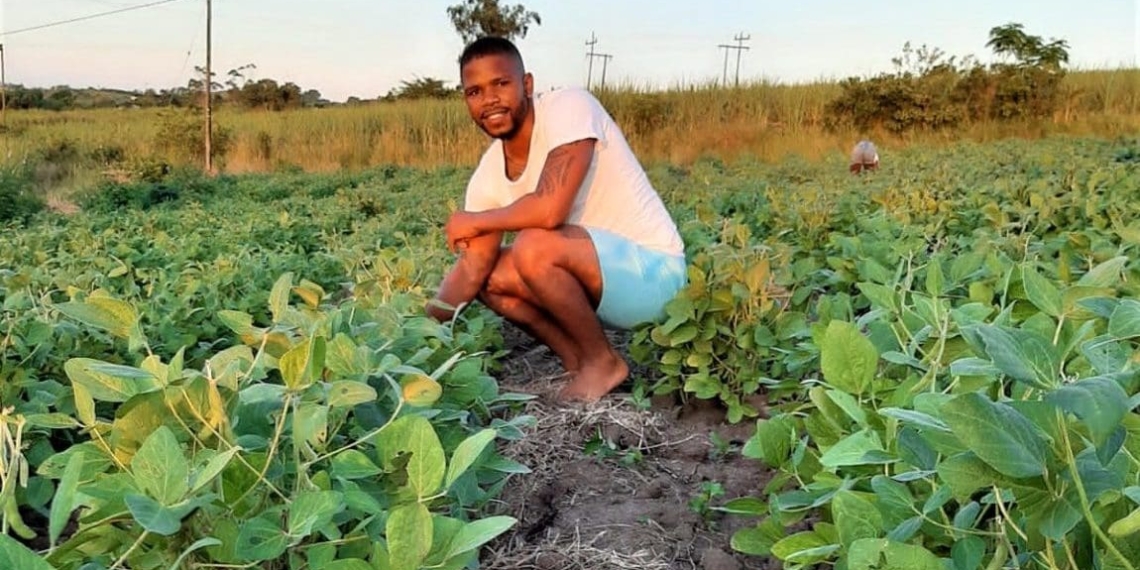 Food systems: Soybean farmer and advocate of indigenous crops Qinisani Qwabe is on a mission to get people excited about native veggies, like amadumbe and cowpea.