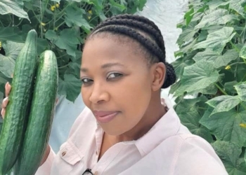 Ntando Thabethe (40) from KwaZulu-Natal is the owner of Elite Crop. A hydroponic agribusiness that started in her Pinetown backyard.