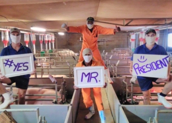 SA pork producers launch #YesMrPresident campaign