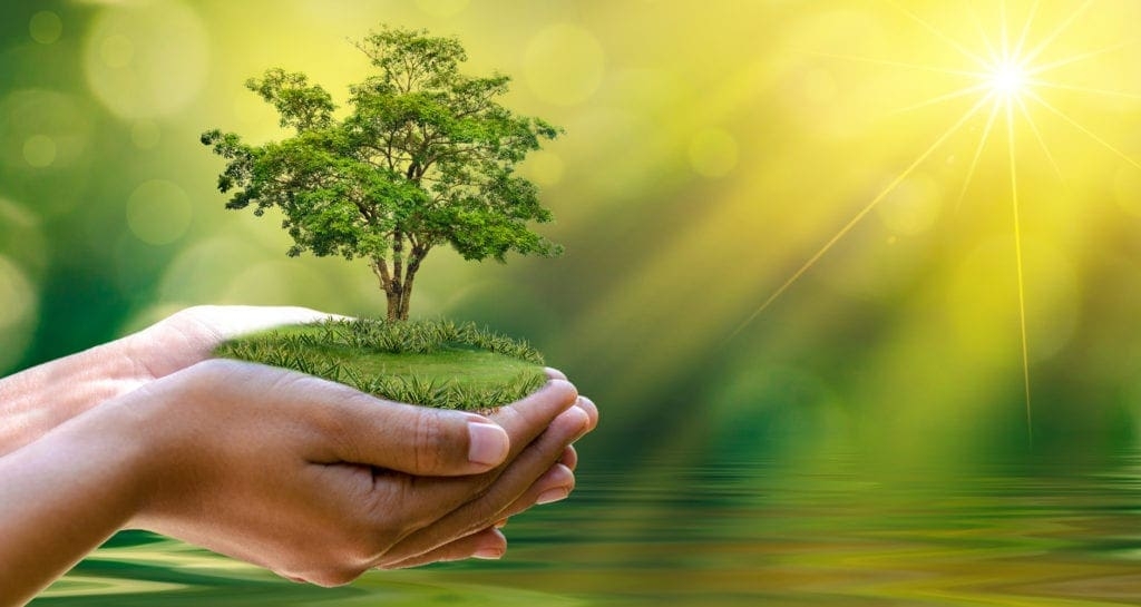 The VKB Group has called on farmers and agriculturalists across Mzansi to help feed those struggling during the covid-19 pandemic and nationwide lockdown.