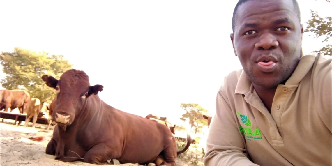 Thapelo Kgopodithate manages their family farm in Kuruman in the Northern Cape.