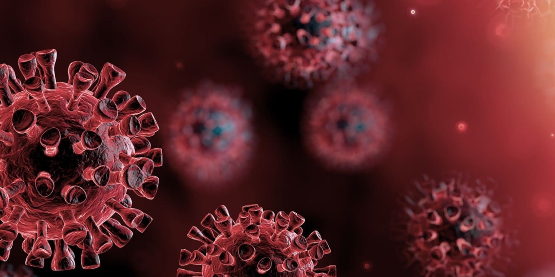 This is what the covid-19 virus looks like under the microscope.