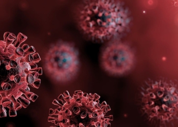 This is what the covid-19 virus looks like under the microscope.