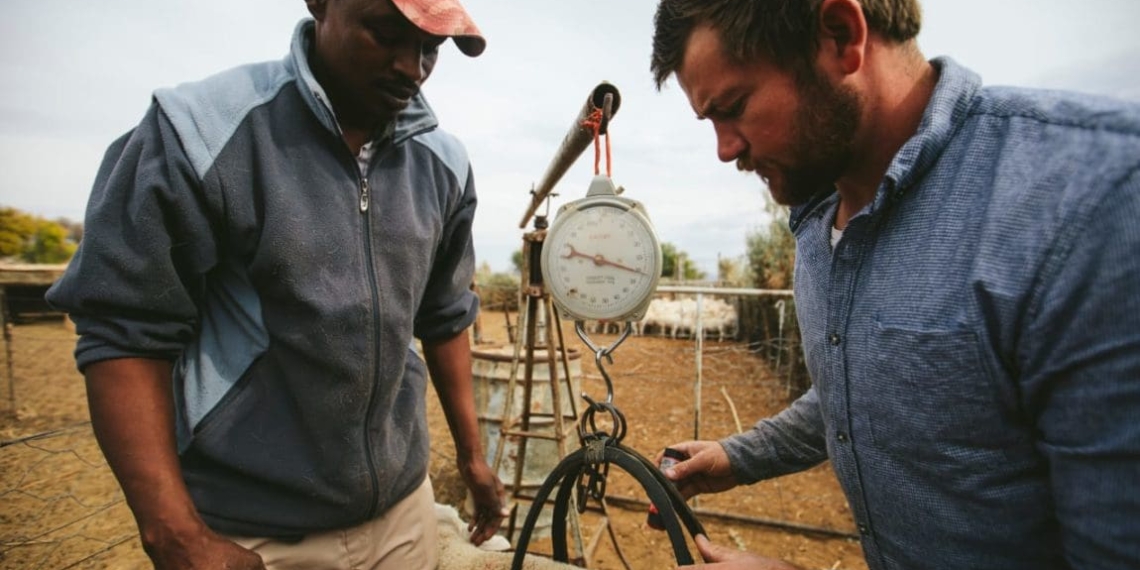Sheep farmers Juan Louw and Demetrius Sas, who farm in the baked Karoo landscape, want to show South Africans that despite difficulties it is possible to unite and flourish. Picture: Willem van der Berg/Landbouweekblad