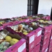Agri SA and its 90 plus affiliates donate tons of food daily to the needy throughout South Africa.