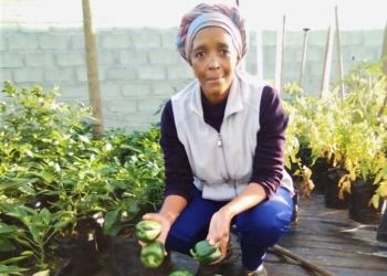 Nomonde Kweza is an award-winning farmer and the owner of, among others, the Ulimo Lwethu food garden in Gugulethu, Cape Town. Photo: Supplied/Food For Mzansi