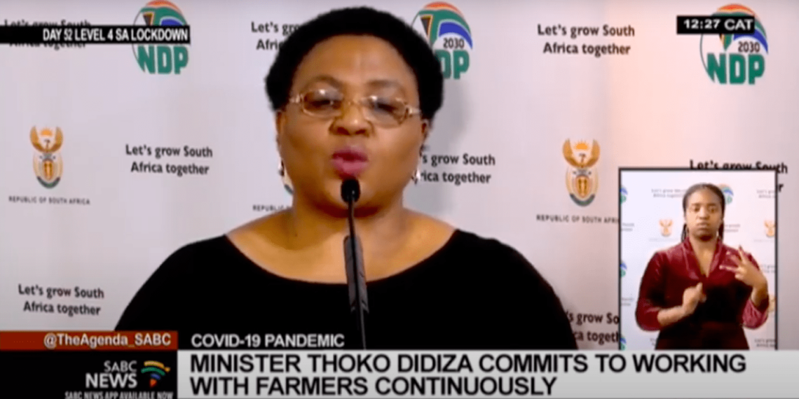 Minister Thoko Didiza announced that 15 036 small-scale farmers will be sharing in some R500 million worth of covid-19 support inputs.