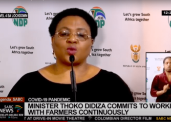 Covid-19 relief: 15 036 small-scale farmers made the cut