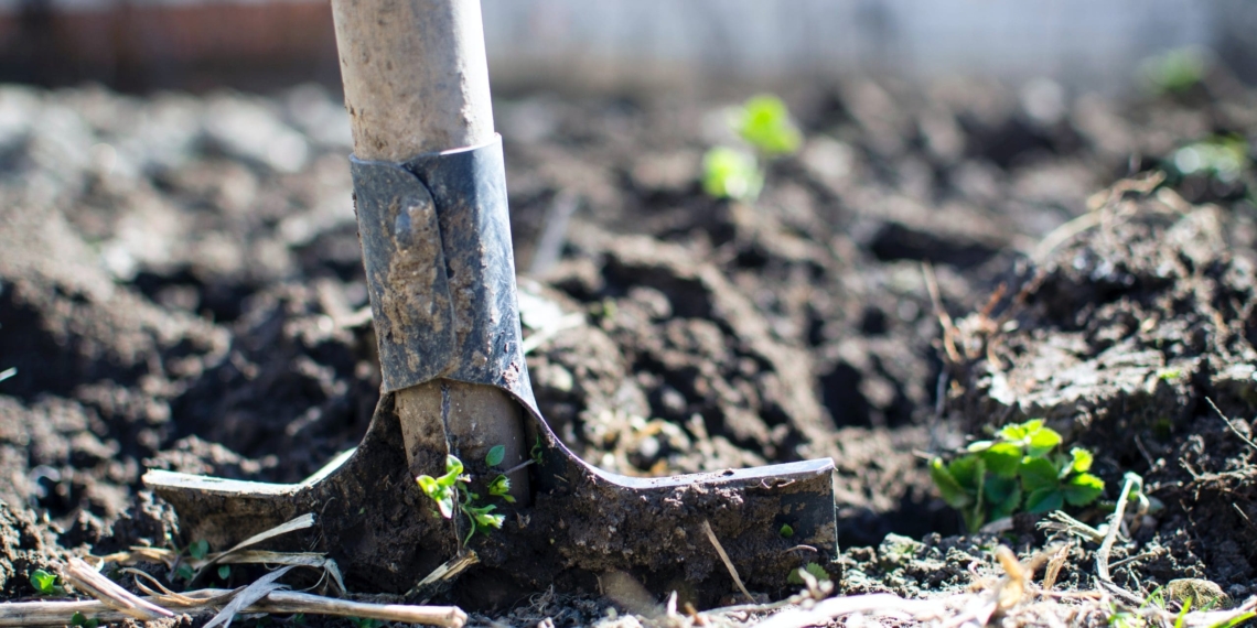 Data from smallholder and subsistence farmers is collected by the award-winning eSusFarm technology solution.