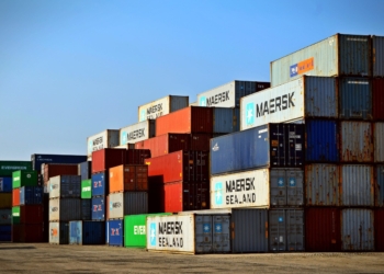 Severe container shortages, delayed vessels and constrained storage facilities were just some of the many issues that have been a thorn in the side of the export industry earlier this year. Photo: Supplied