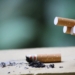 SA bleeding R4 bn due to tobacco sales ban