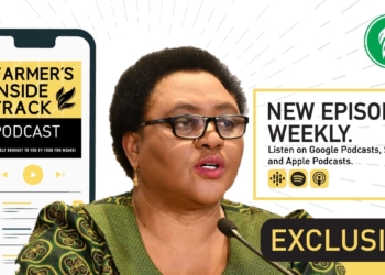 EXCLUSIVE: ‘Covid-19 highlighted fault lines of SA’s past’ – Didiza