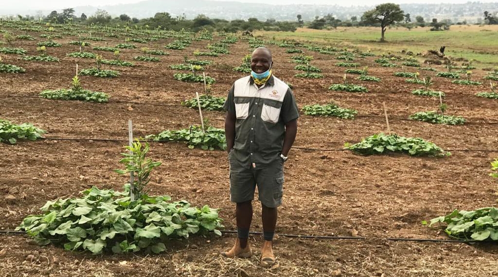 Gene Likhanya have advised farmers who want to venture into macadamia farming to be patient and get the basics right. Photo: Supplied/Food For Mzansi.