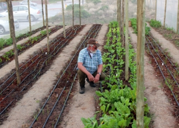 organic gardener