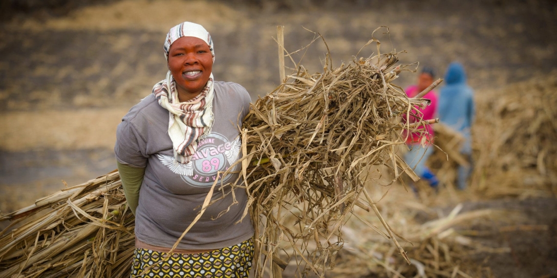 Small-scale cane growers' pleas have been answered with a rail facility that will save them millions each year in road transport. Photo: Supplied/Food For Mzansi