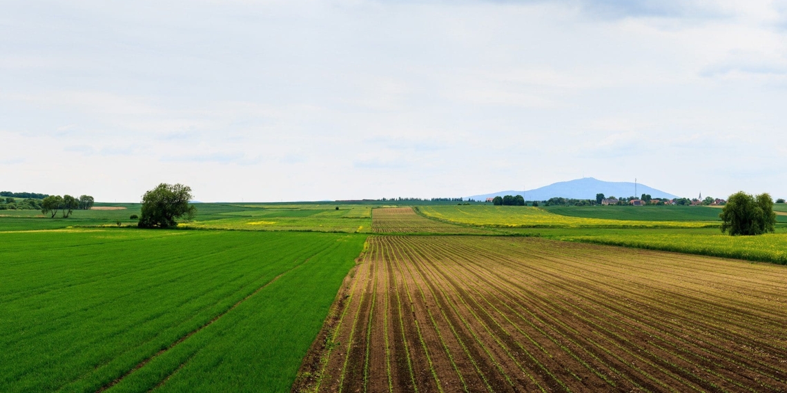 The agricultural sector has been shaken up by the covid-19 pandemic, but thanks to bumper crops it looks set for strong recovery during the rest of the year.