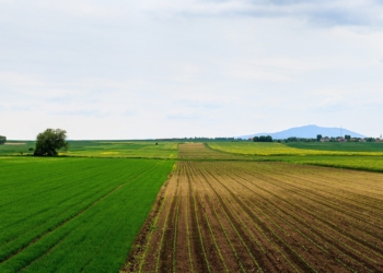‘If we could overcome Zuma, we can overcome anything,’ says agri leader