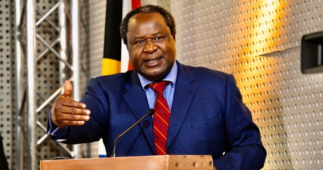 Finance minister Tito Mboweni announced national treasury's covid-19 emergency budget. Photo: National Treasury