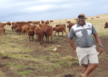 ‘I feel like a king,’ says young farmer after unexpected Didiza call