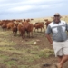 ‘I feel like a king,’ says young farmer after unexpected Didiza call