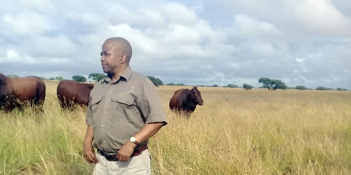 It has taken Bodulo Mabote ten years of hard work to build his mixed farming operation in the Free State. Picture: Supplied