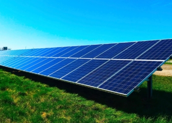 Some experts believe farmers are in a great position to lead the transition to renewable energy. Photo: Supplied/Food For Mzansi