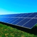 Some experts believe farmers are in a great position to lead the transition to renewable energy. Photo: Supplied/Food For Mzansi