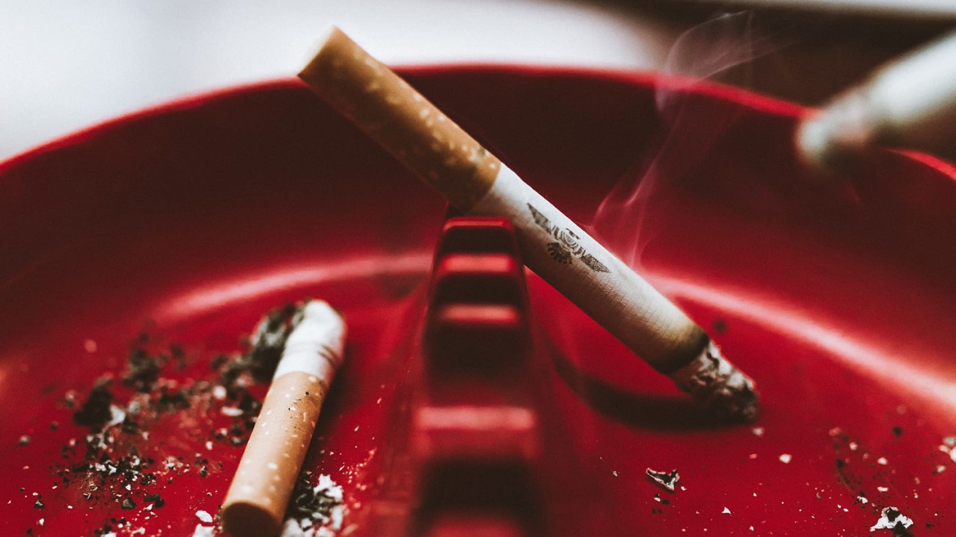 Government's decision to ban the sale of tobacco products has come under renewed fire. Not only did the ban cost the country millions in excise taxes, it has allowed the illicit trade to run rampant, says British American Tobacco. Photo: Supplied/Food For Mzansi