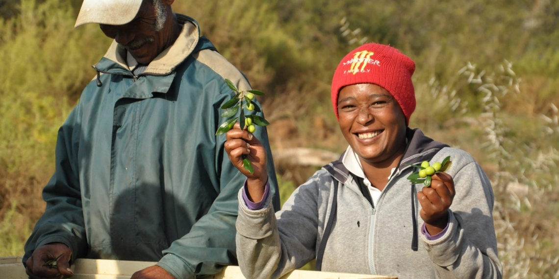 South Africa’s agricultural sector could see a 10% year-on-year recovery in GDP for 2020 because of bumper grain and fruit harvests. Photo: www.Mardouw.com
